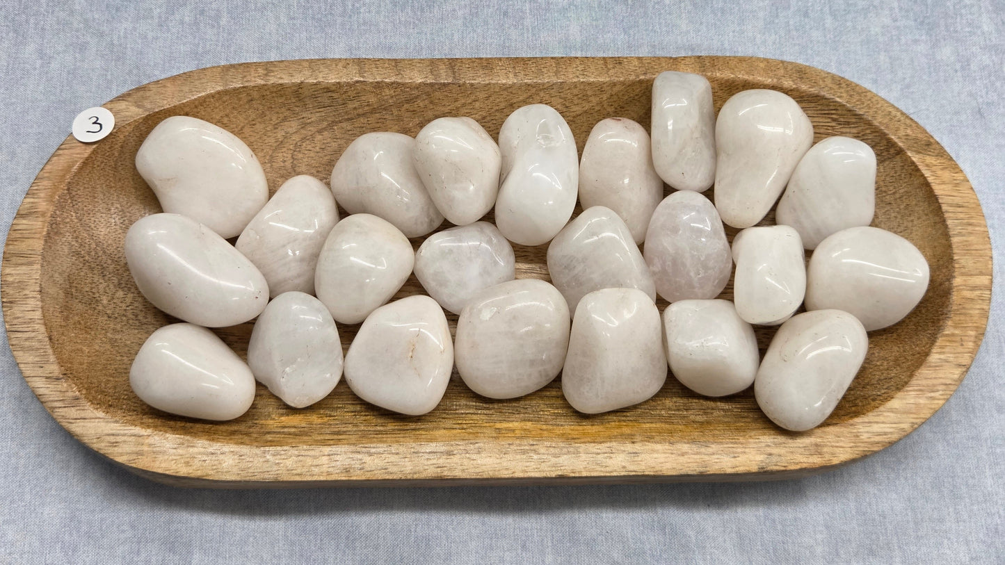 White pebbles in a wooden bowl on a gray background
