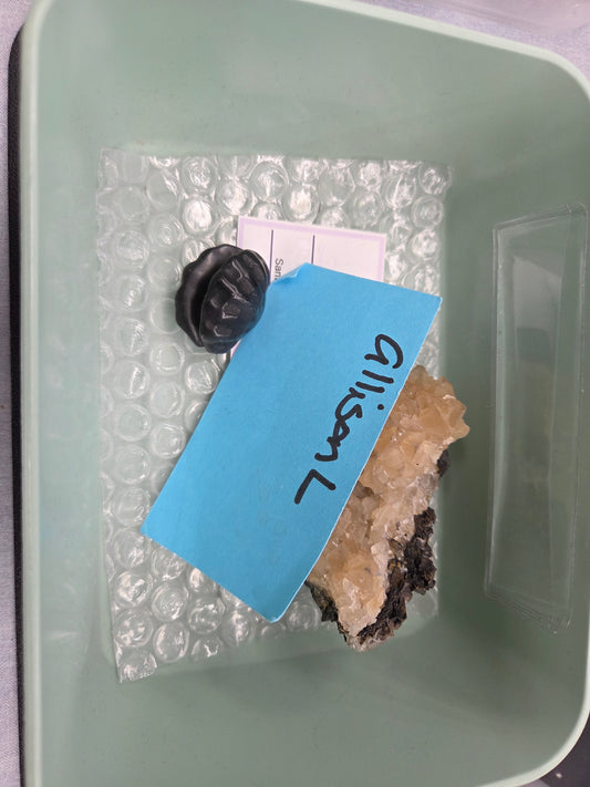 @Allison L invoice 1/26