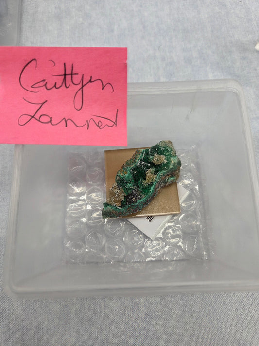 @Caitlyn Lannert invoice 1/26