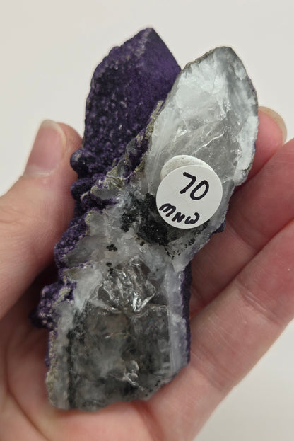 A collection of purple fluorite covered quartz points