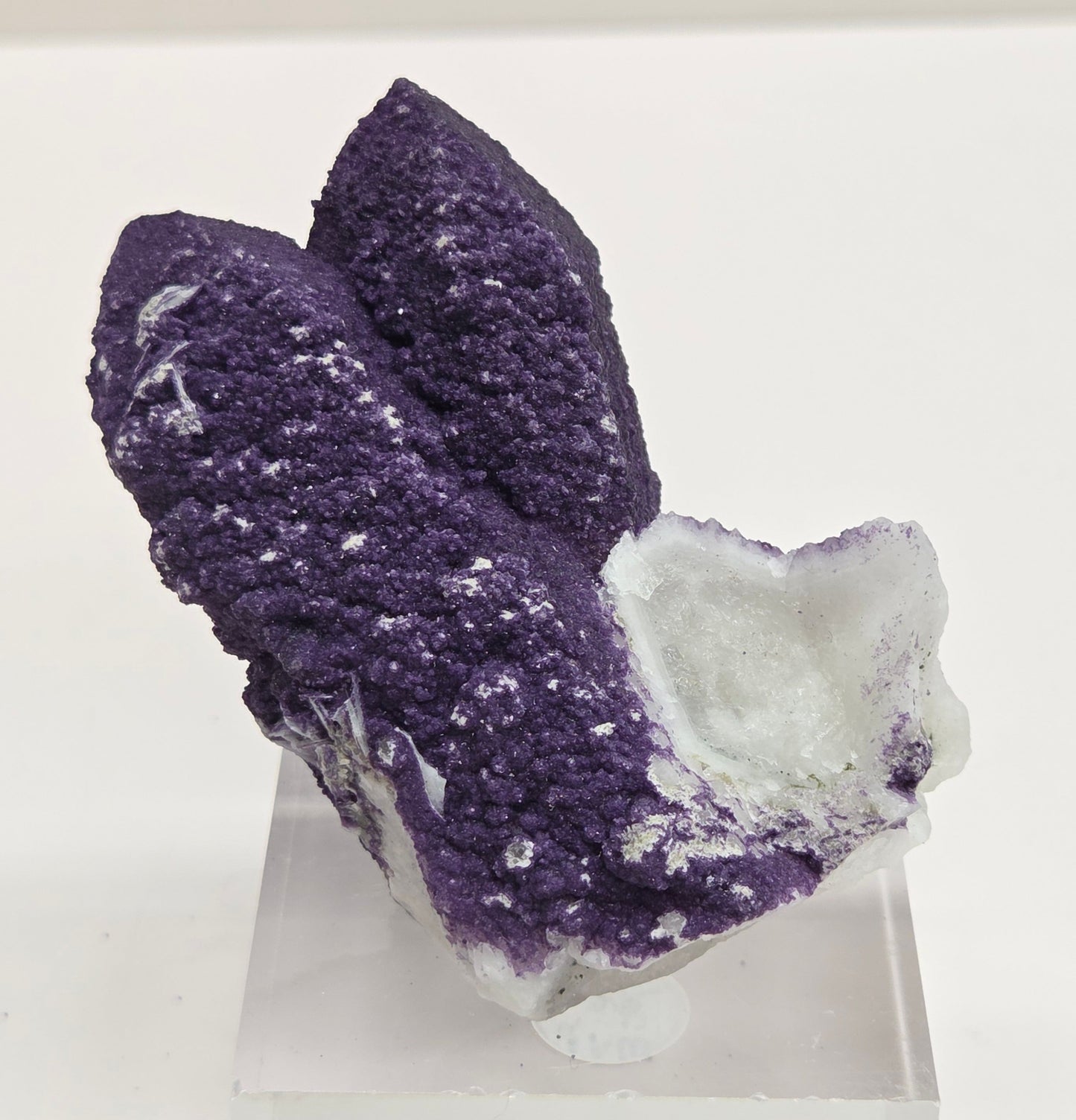 A collection of purple fluorite covered quartz points