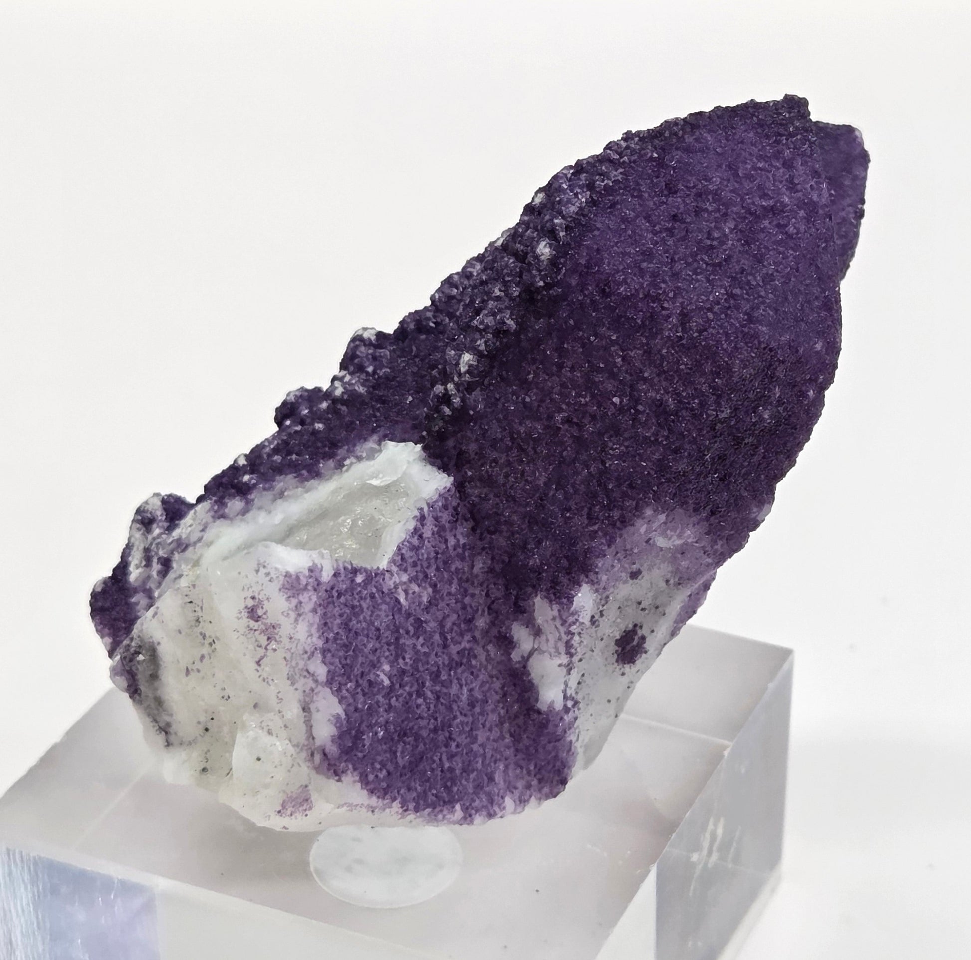 A collection of purple fluorite covered quartz points