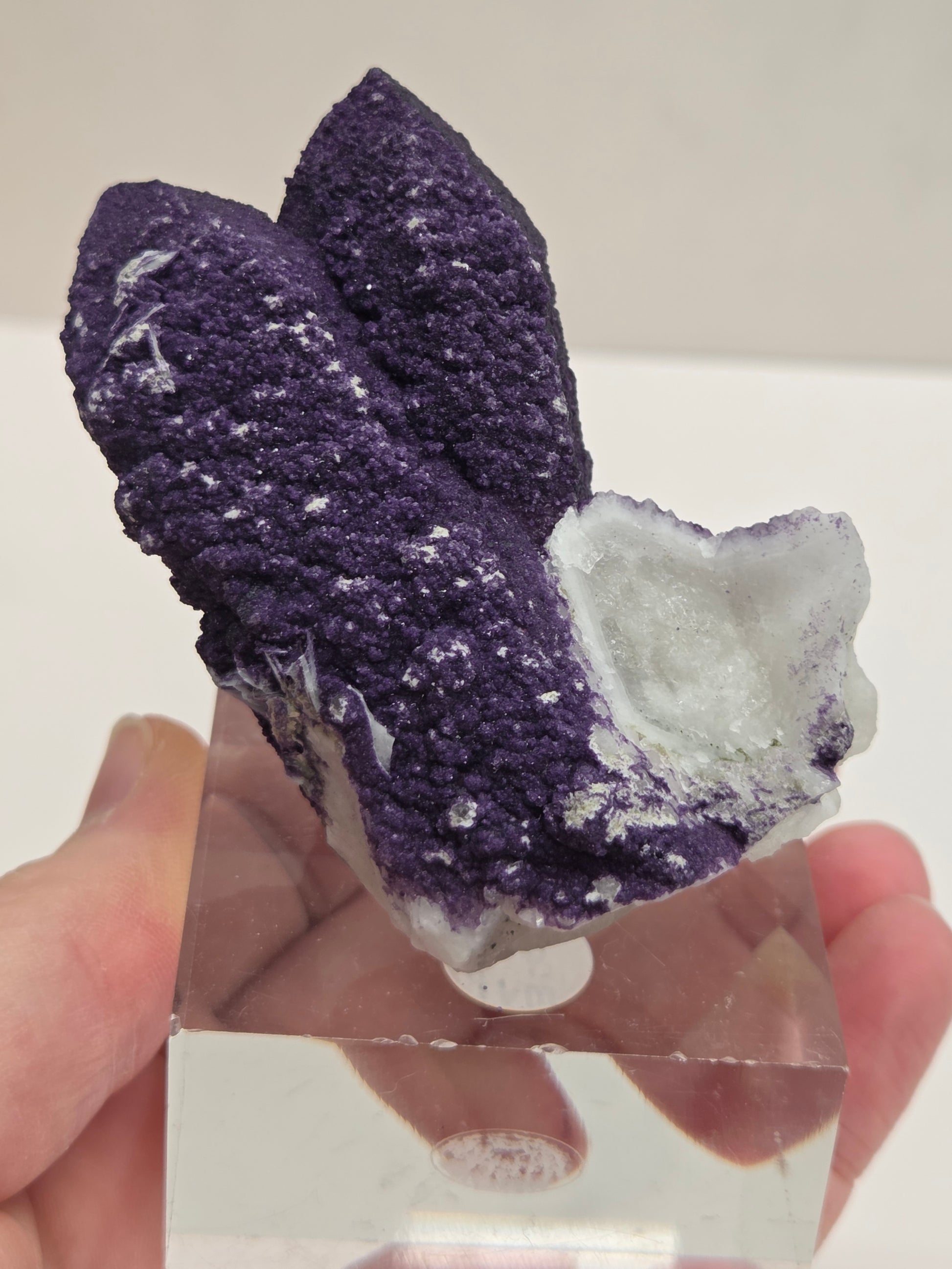 A collection of purple fluorite covered quartz points