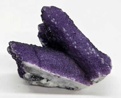 A collection of purple fluorite covered quartz points