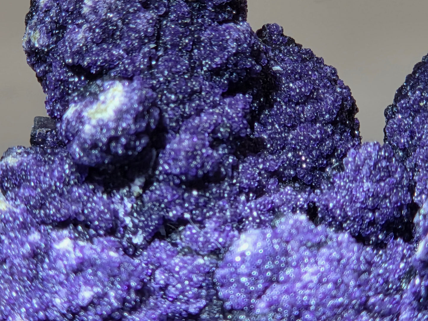 A close-up of purple fluorite covered quartz points