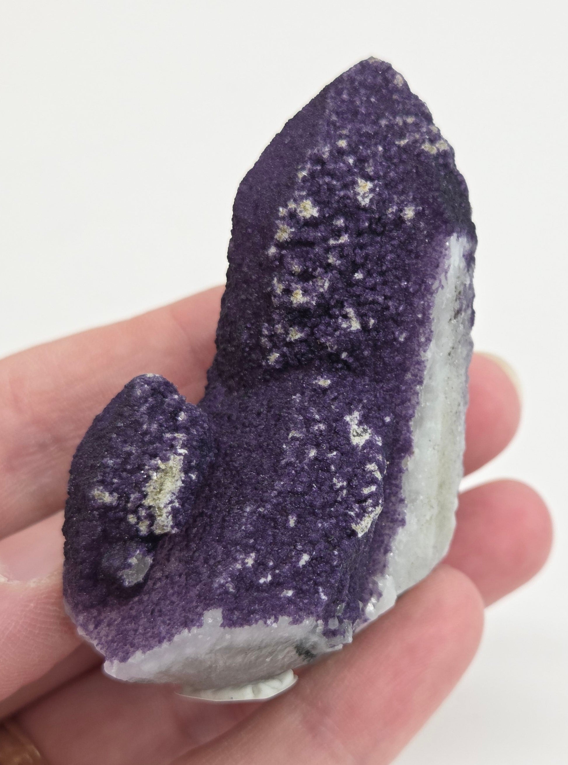 A collection of purple fluorite covered quartz points