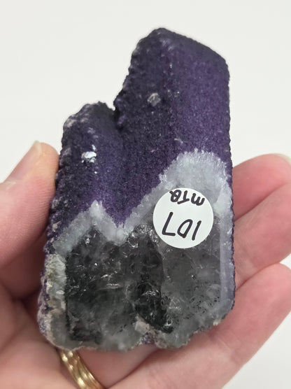 A collection of purple fluorite covered quartz points