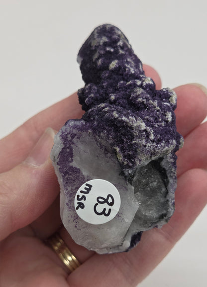 A collection of purple fluorite covered quartz points