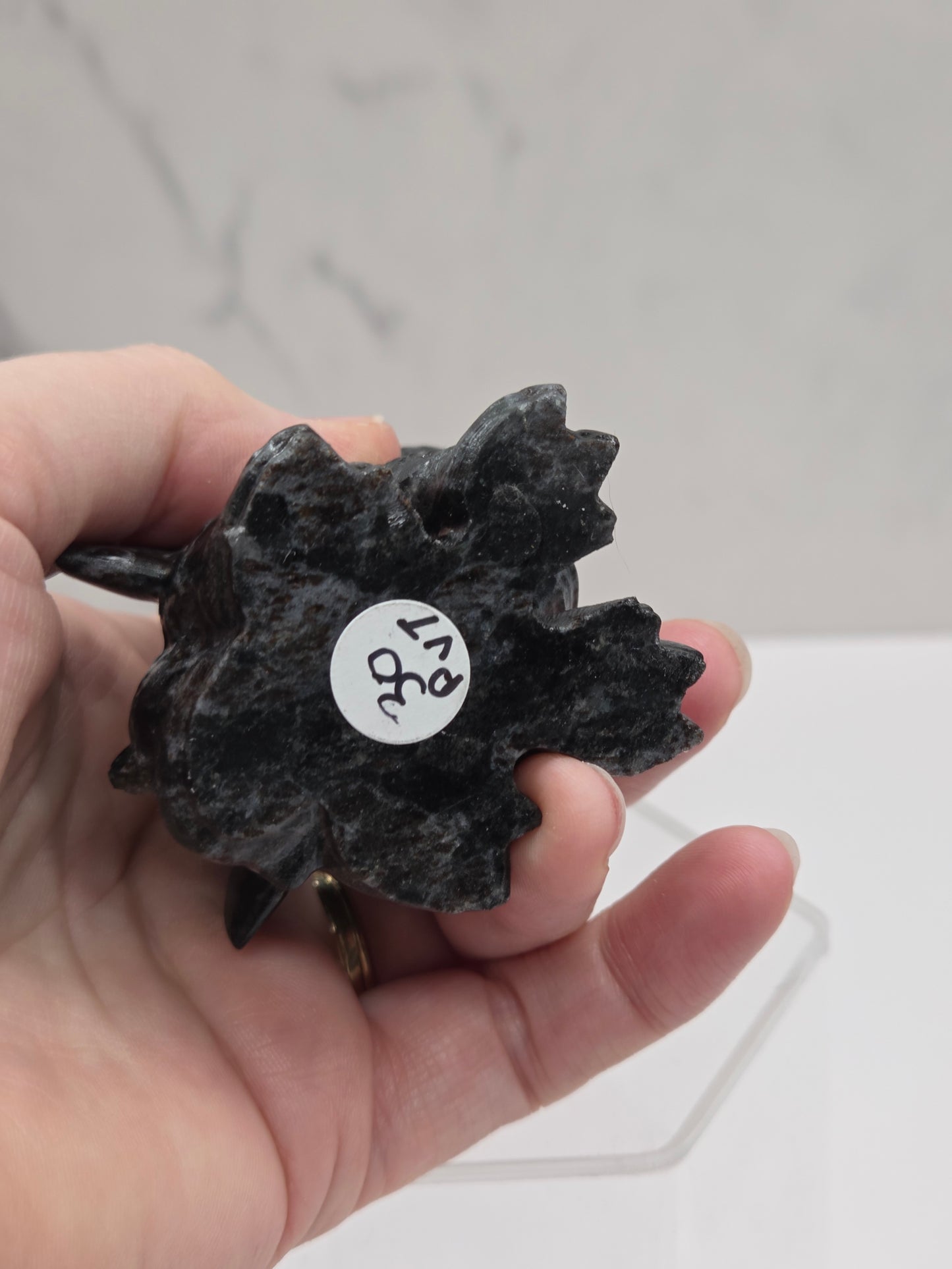 Cute dragon carving (M)