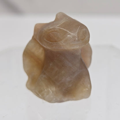 Moonstone Toothless carving on a white background