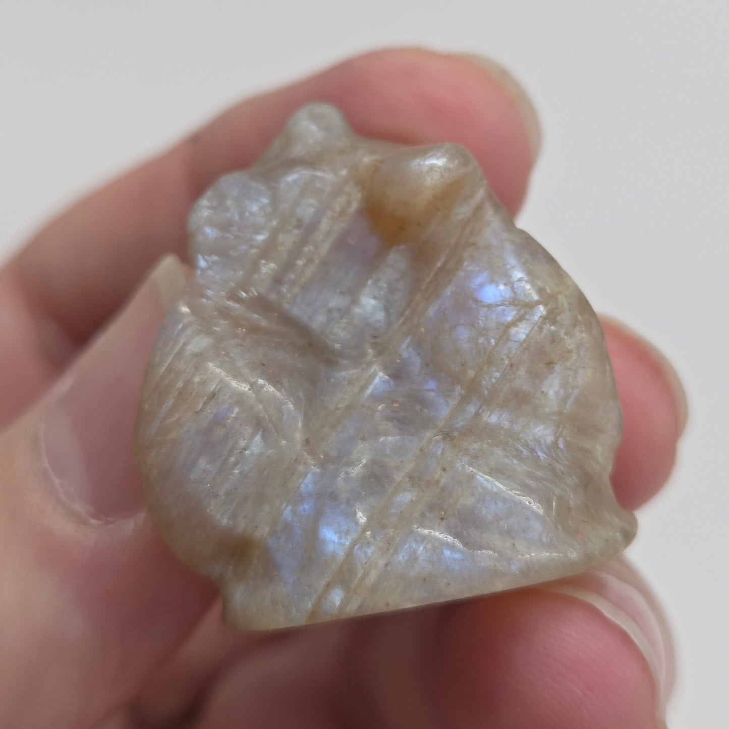 Moonstone Toothless carving showing blue chatoyancy on a white background