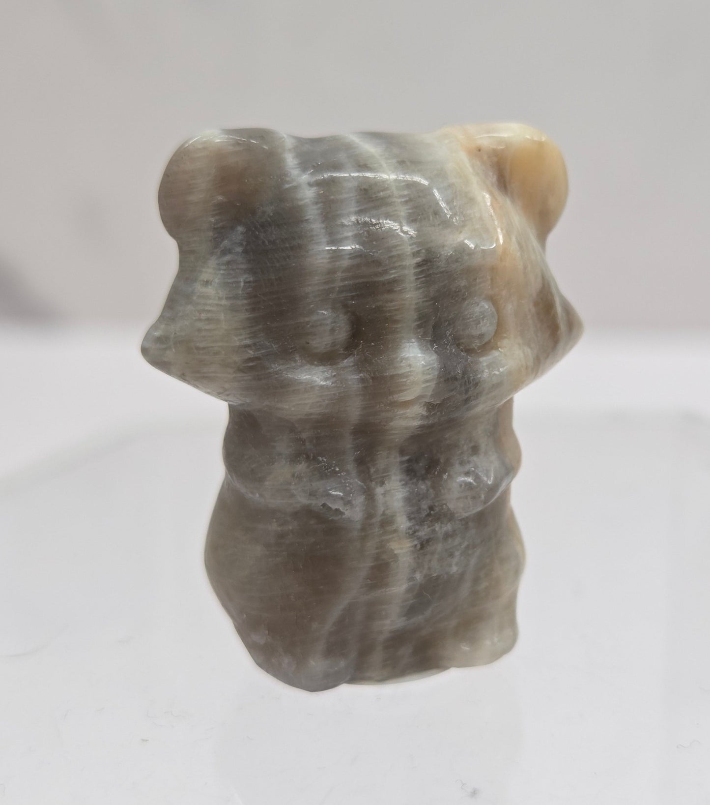 "Trash Panda"/Raccoon carving (S)