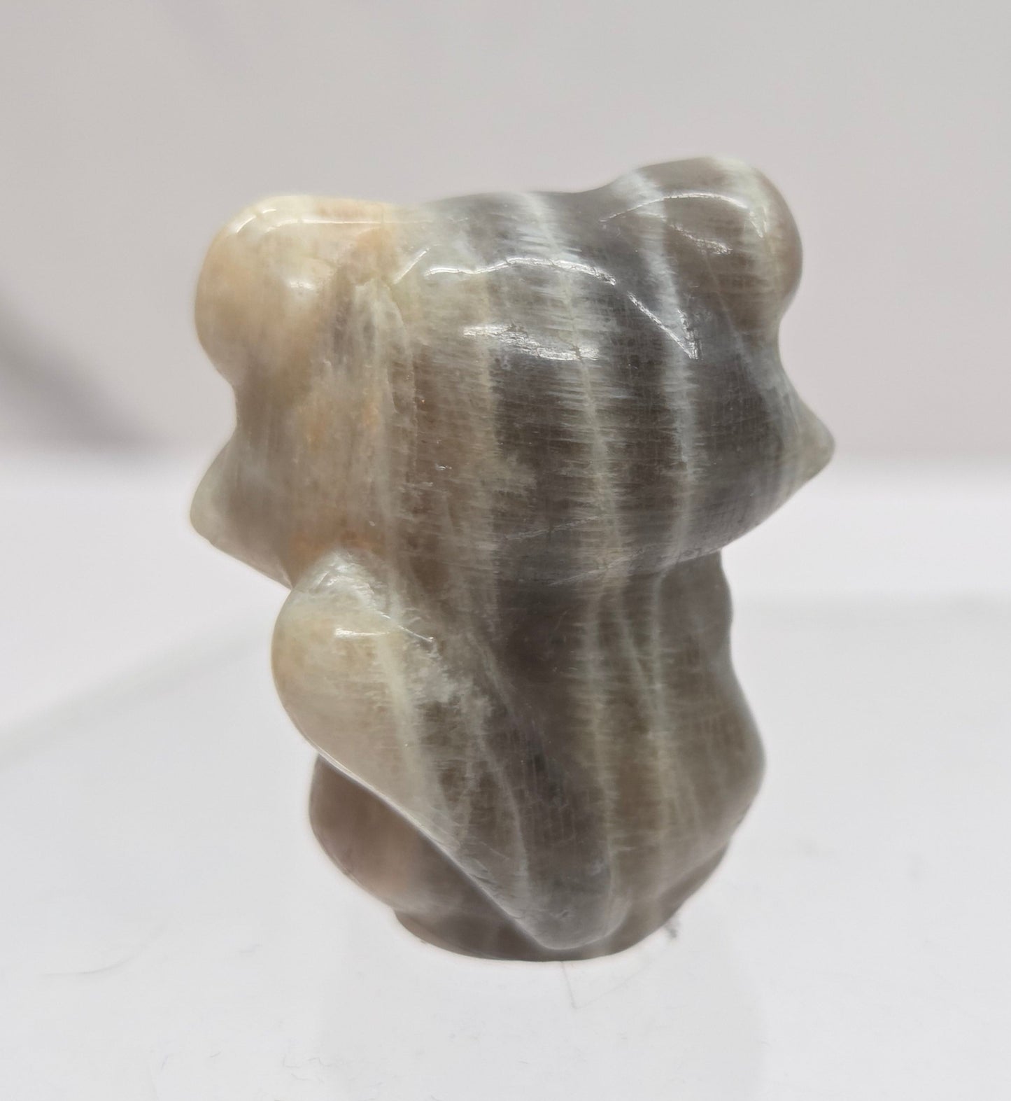 "Trash Panda"/Raccoon carving (S)