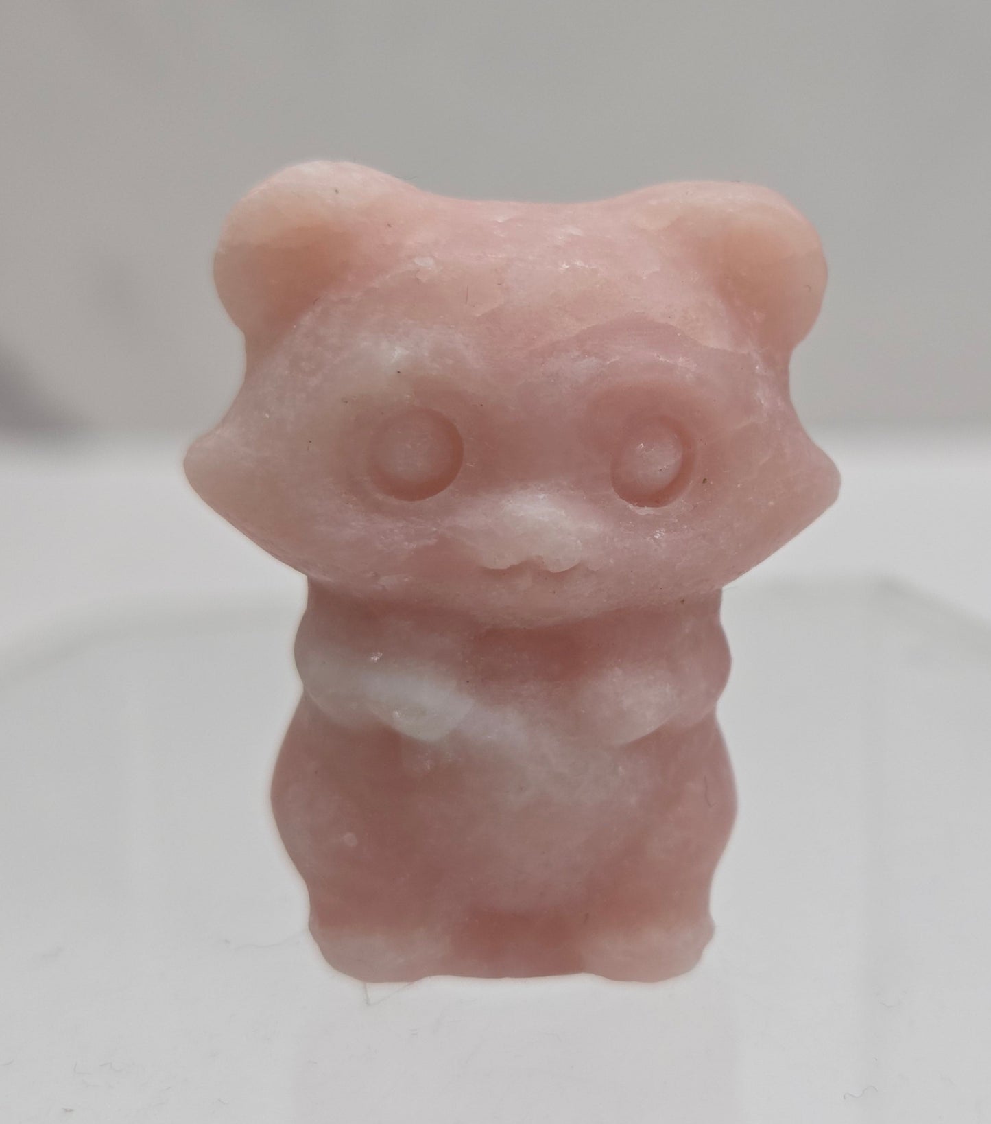 "Trash Panda"/Raccoon carving (S)