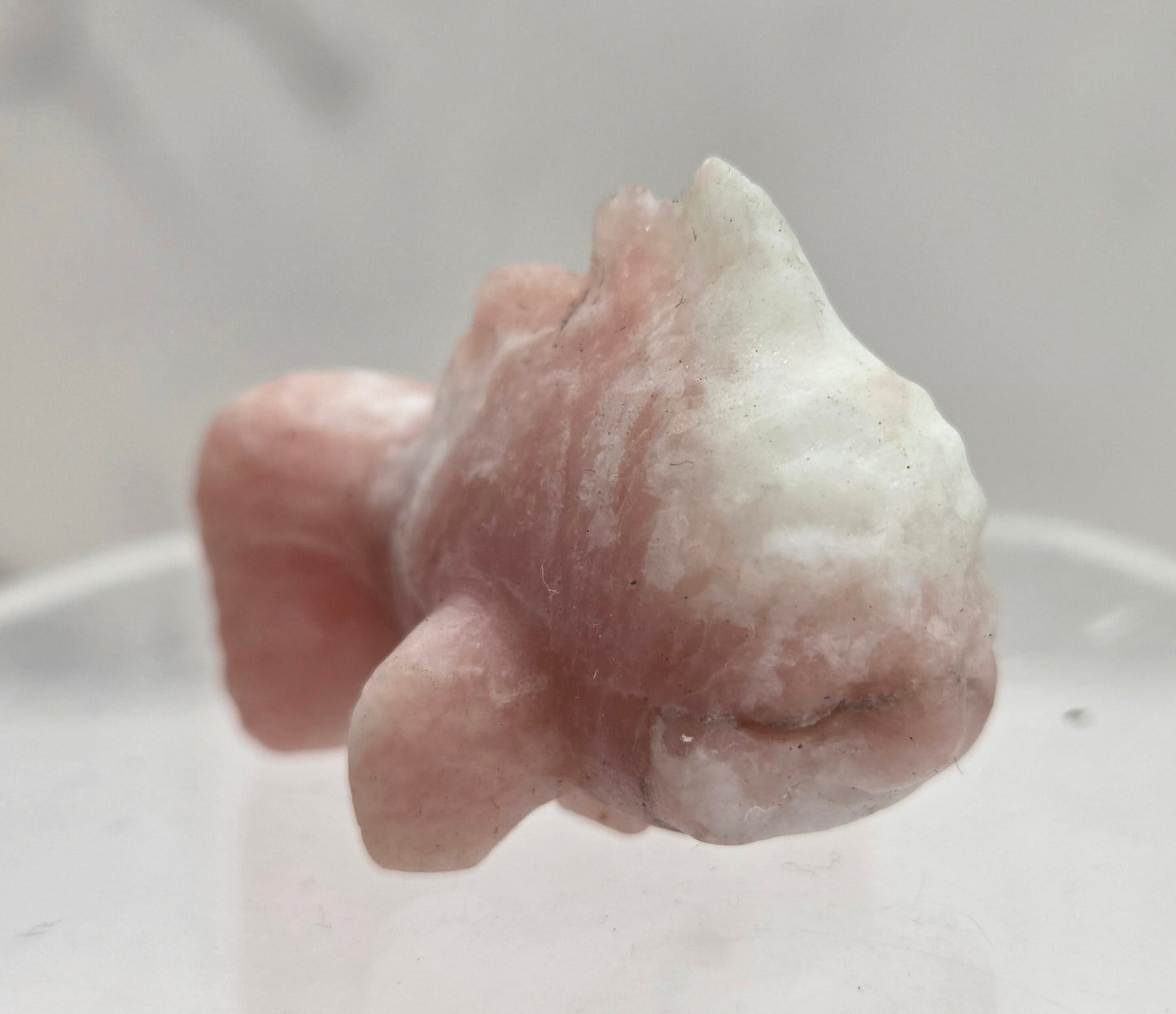 Nemo fish carving (S)