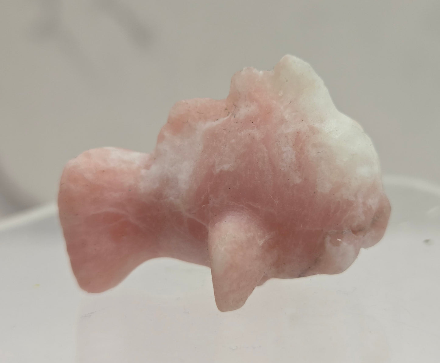 Nemo fish carving (S)