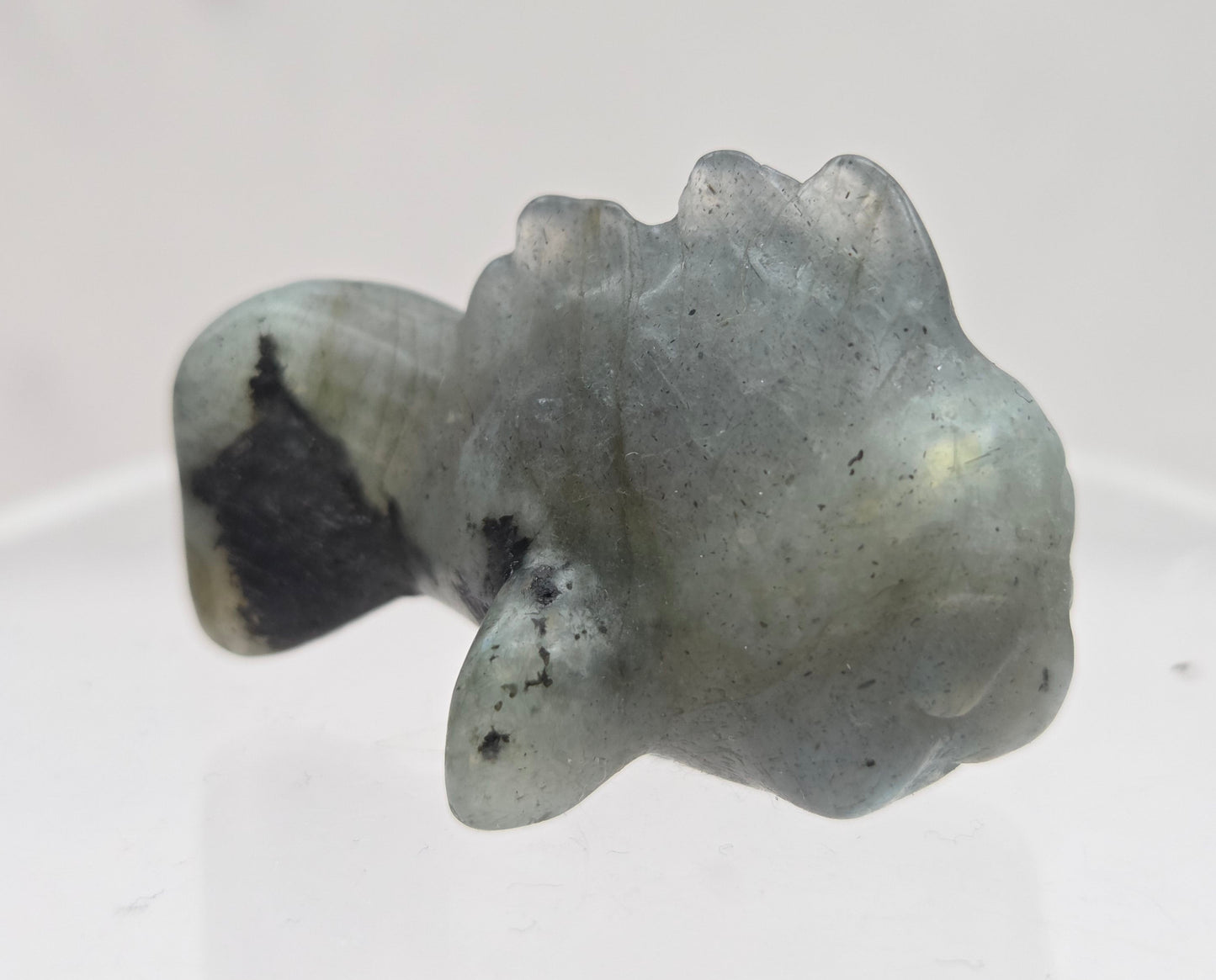 Nemo fish carving (S)