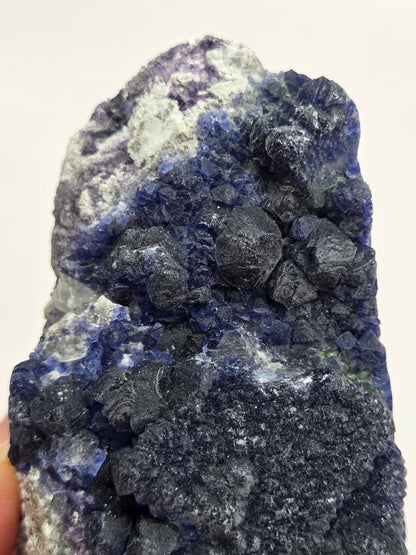 Close-up of a dark blue Fluorite mineral specimen on a light gray background
