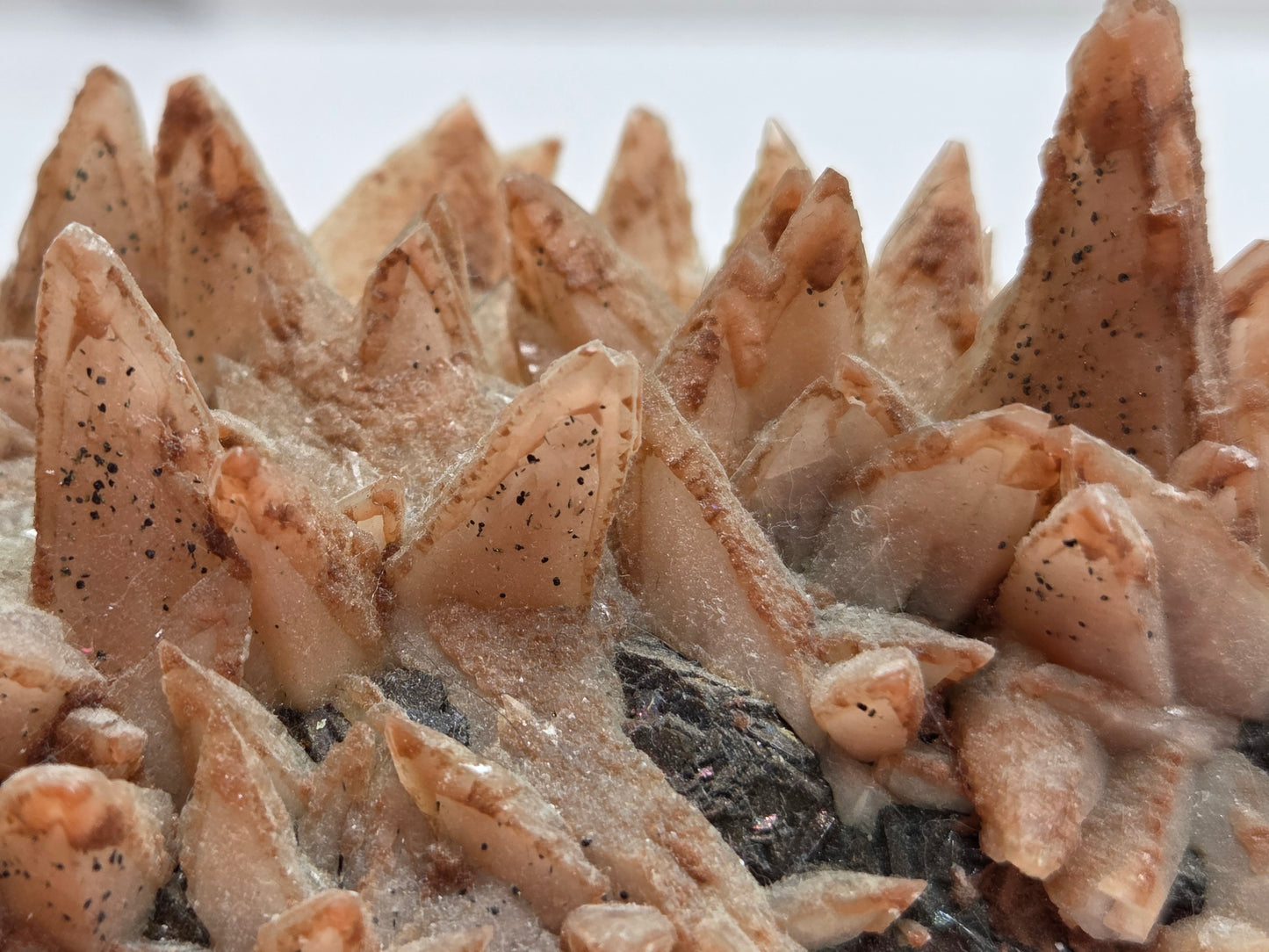 Close-up of a textured, brownish mineral formation with a white background