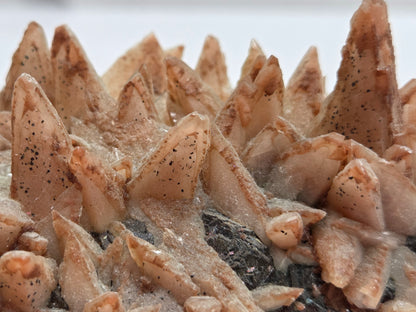 Close-up of a textured, brownish mineral formation with a white background