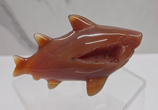 Carnelian shark carving