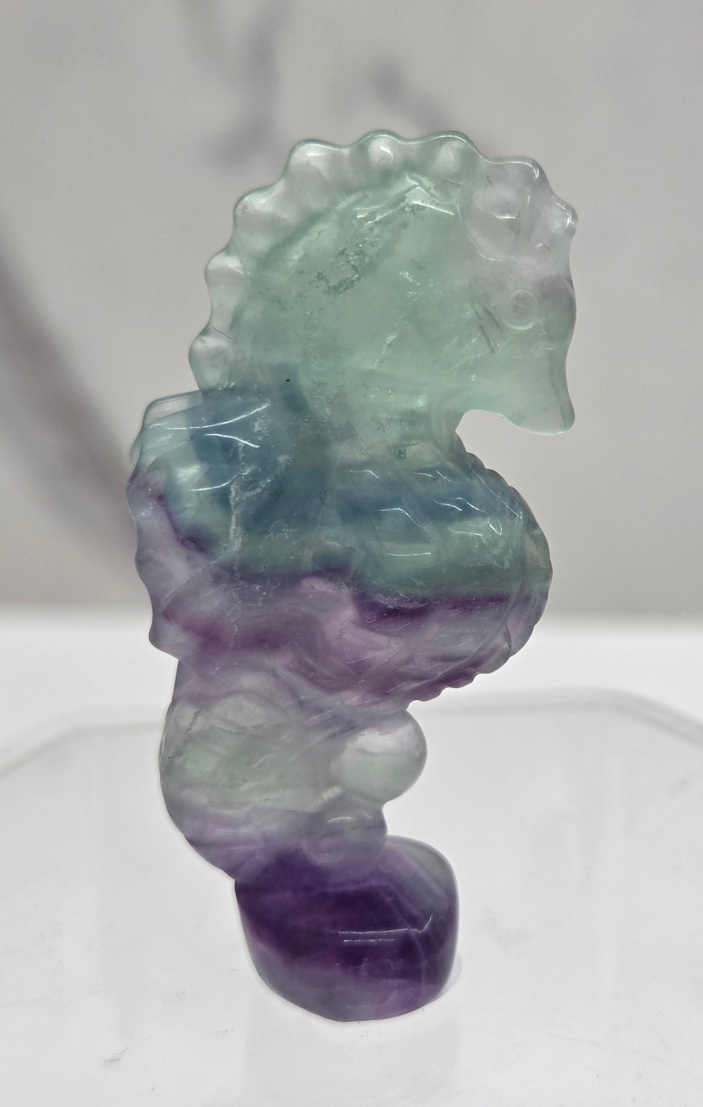 Fluorite crystal seahorse carvings with blue, green and purple colors