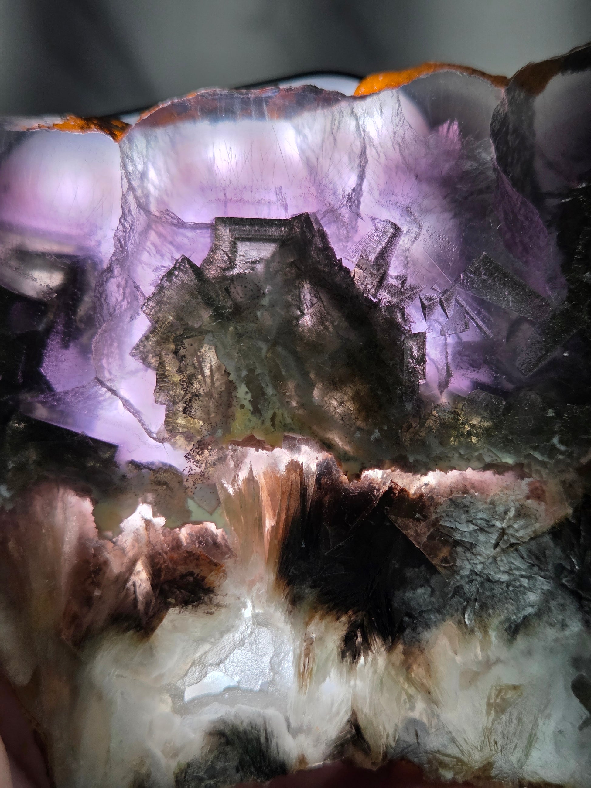 Close-up of a crystal with purple and brown colors on a gray background