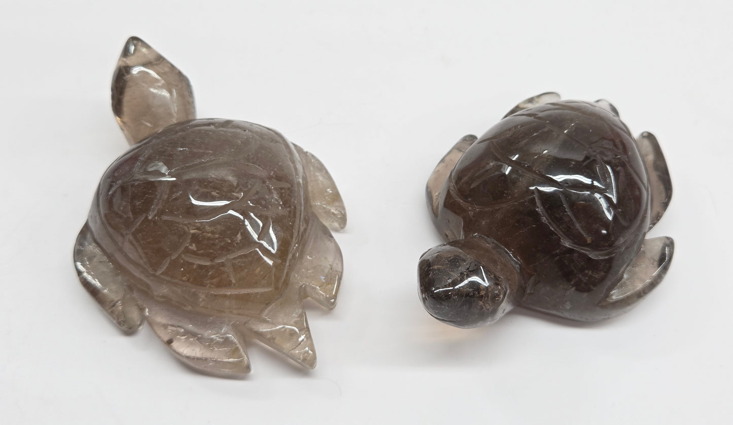 Turtle - Smoky Quartz