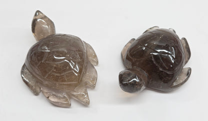 Turtle - Smoky Quartz