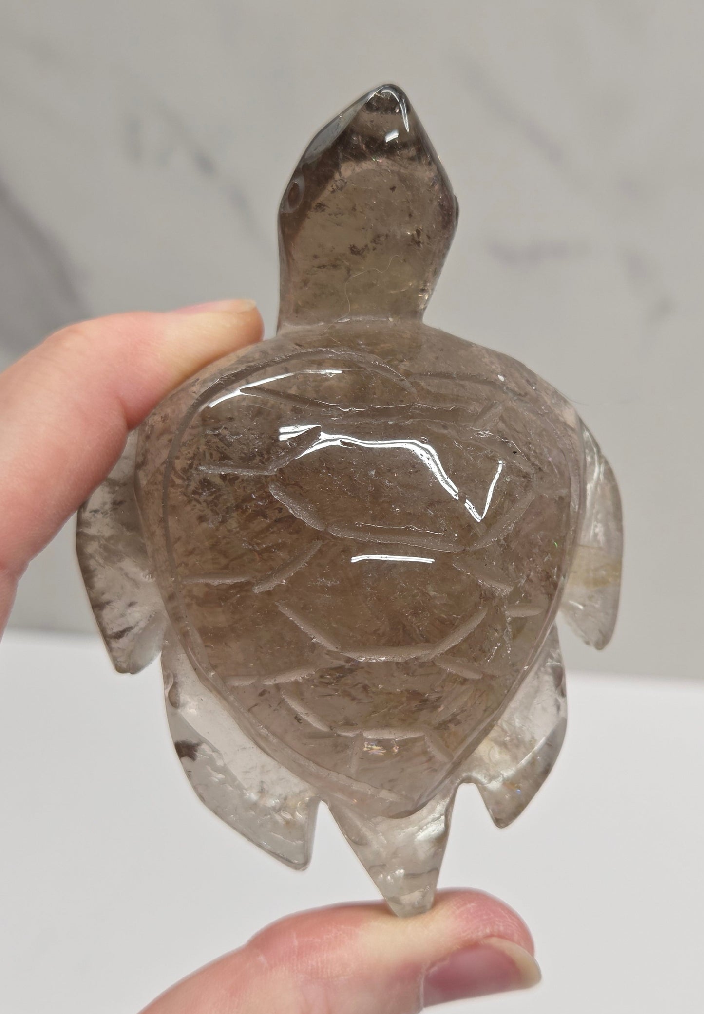 Turtle - Smoky Quartz