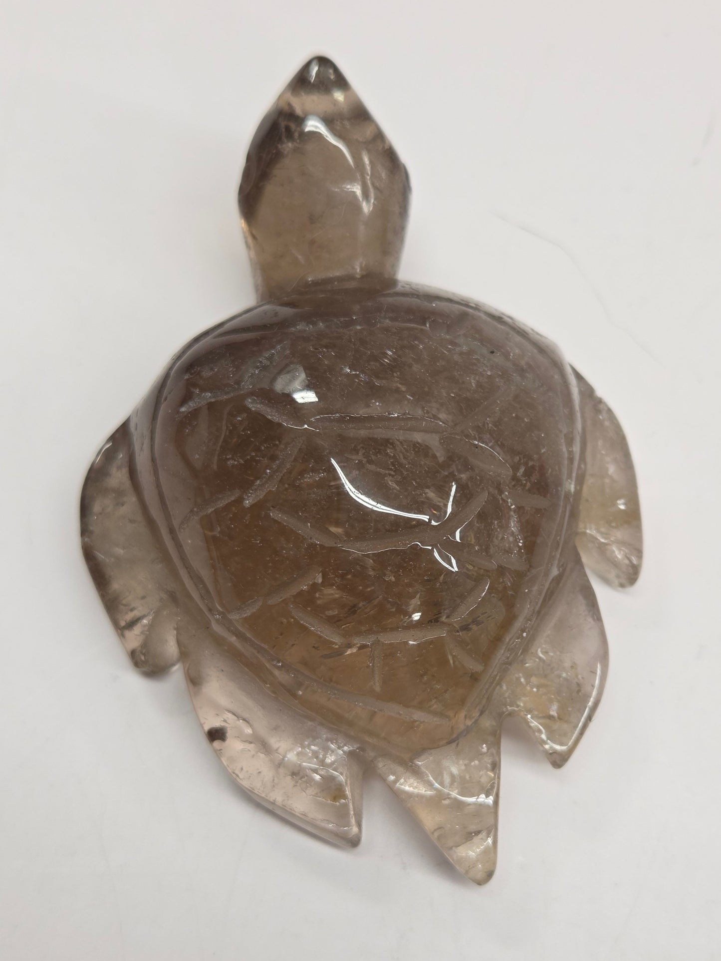 Turtle - Smoky Quartz
