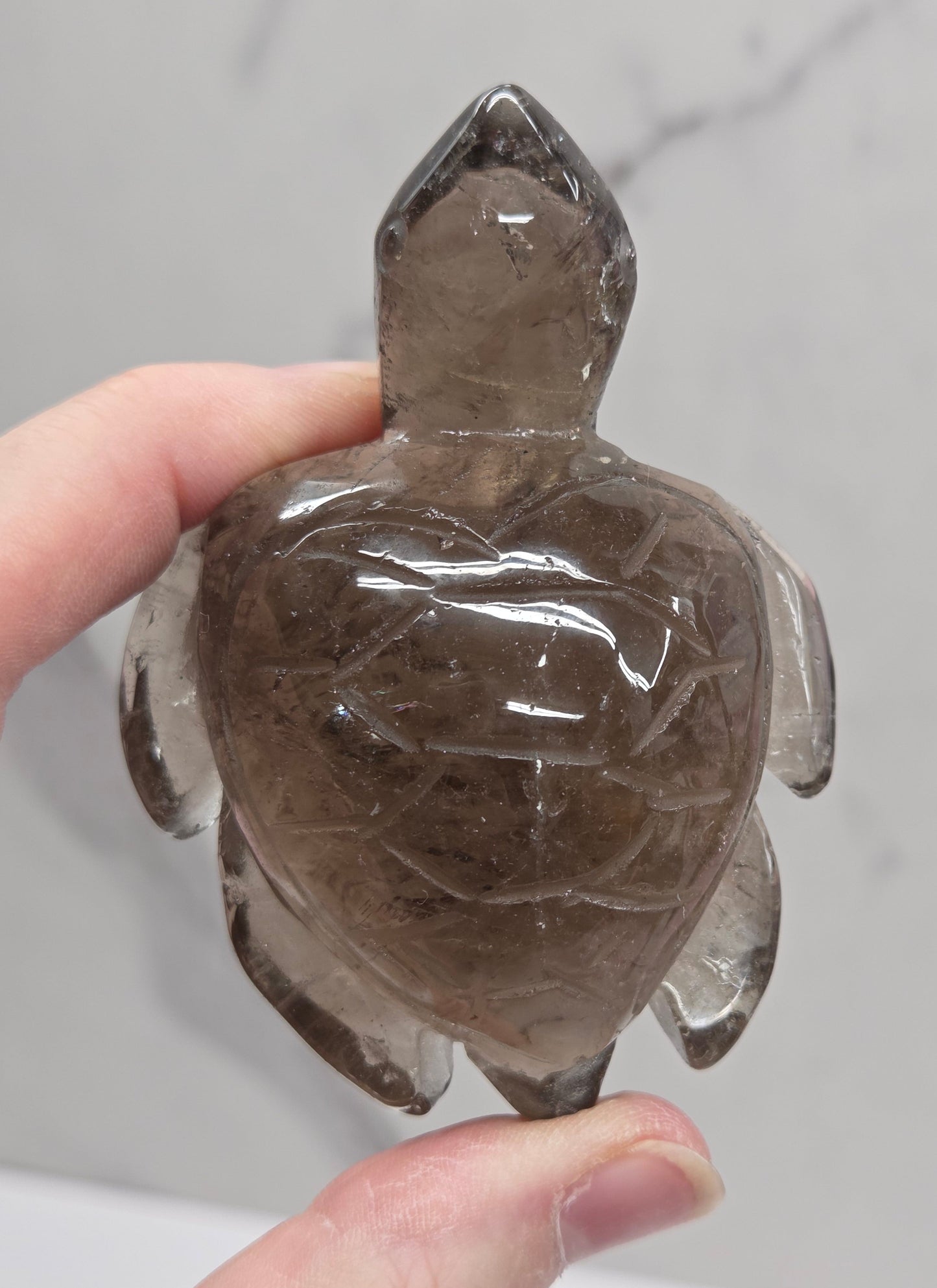 Turtle - Smoky Quartz