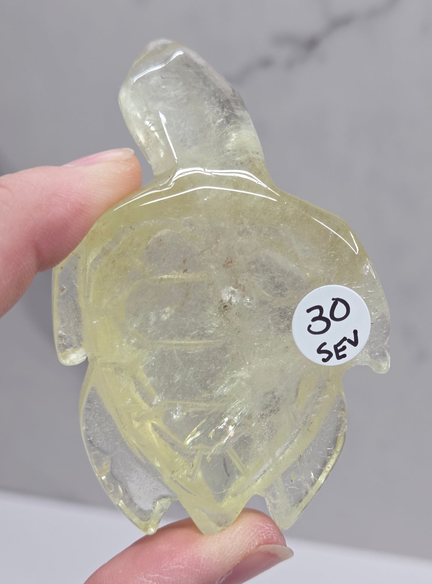 translucent yellow Citrine turtle carvings