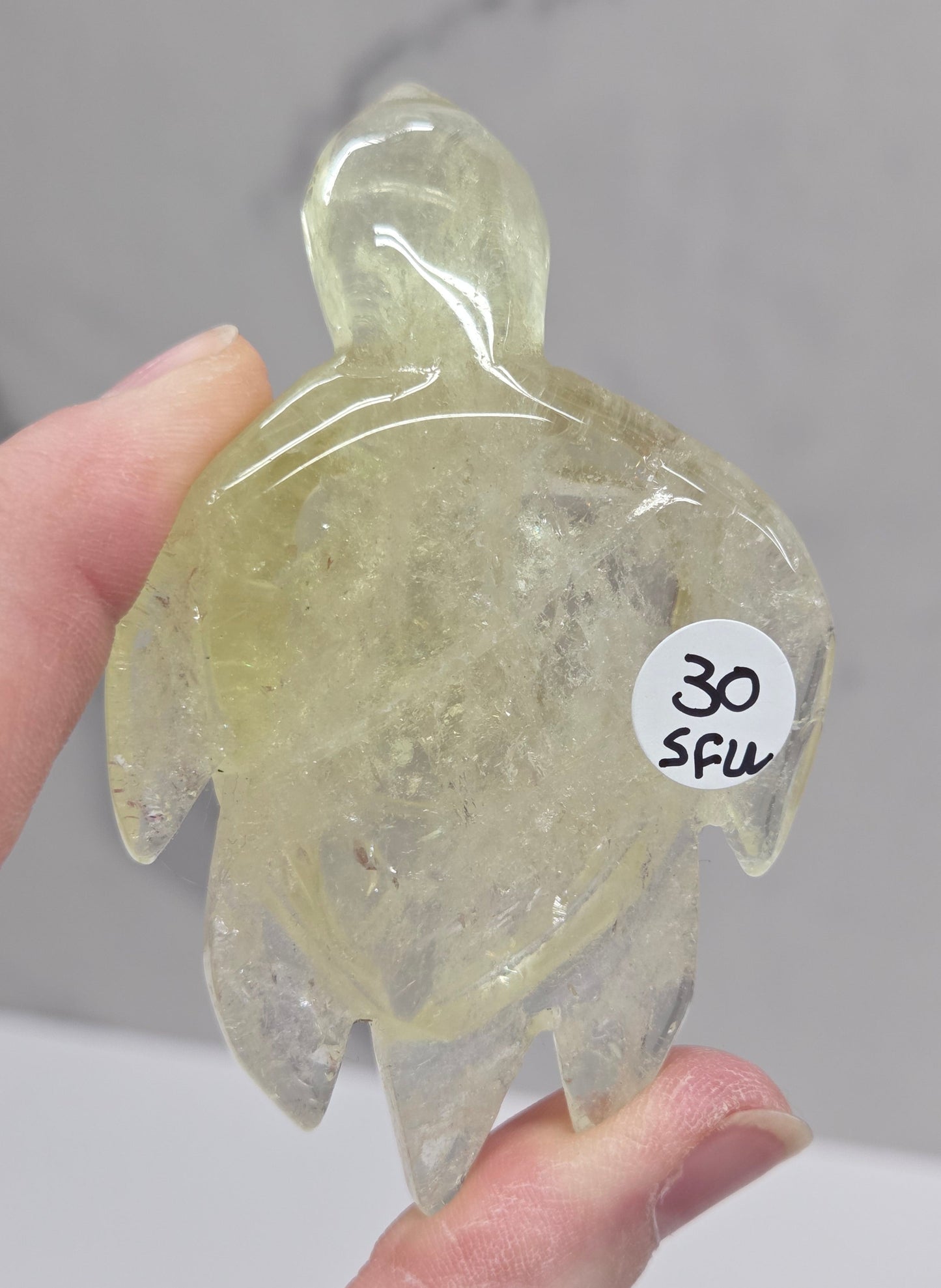 translucent yellow Citrine turtle carvings