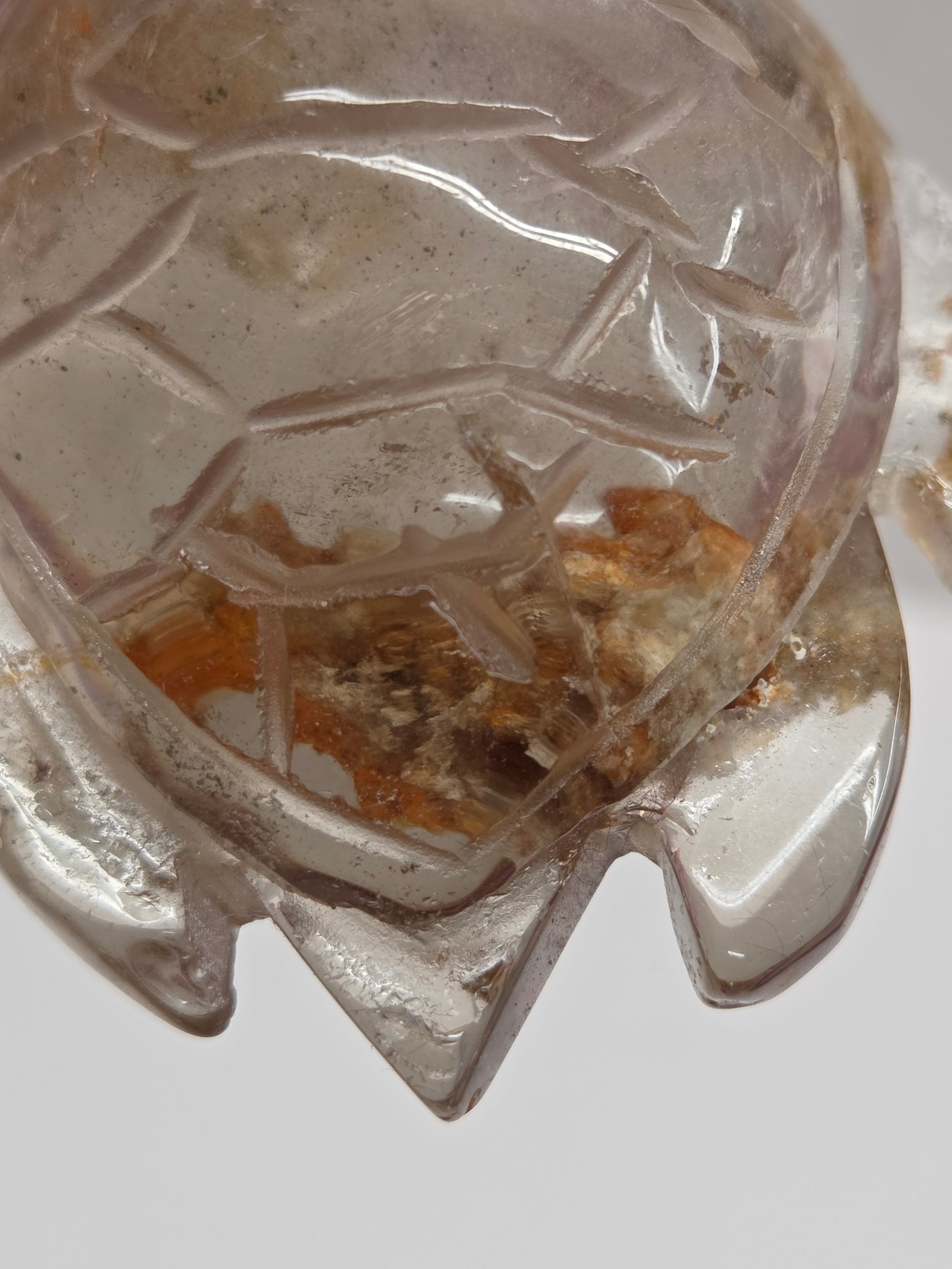 Clear crystal turtle figurine held by a hand against a neutral background