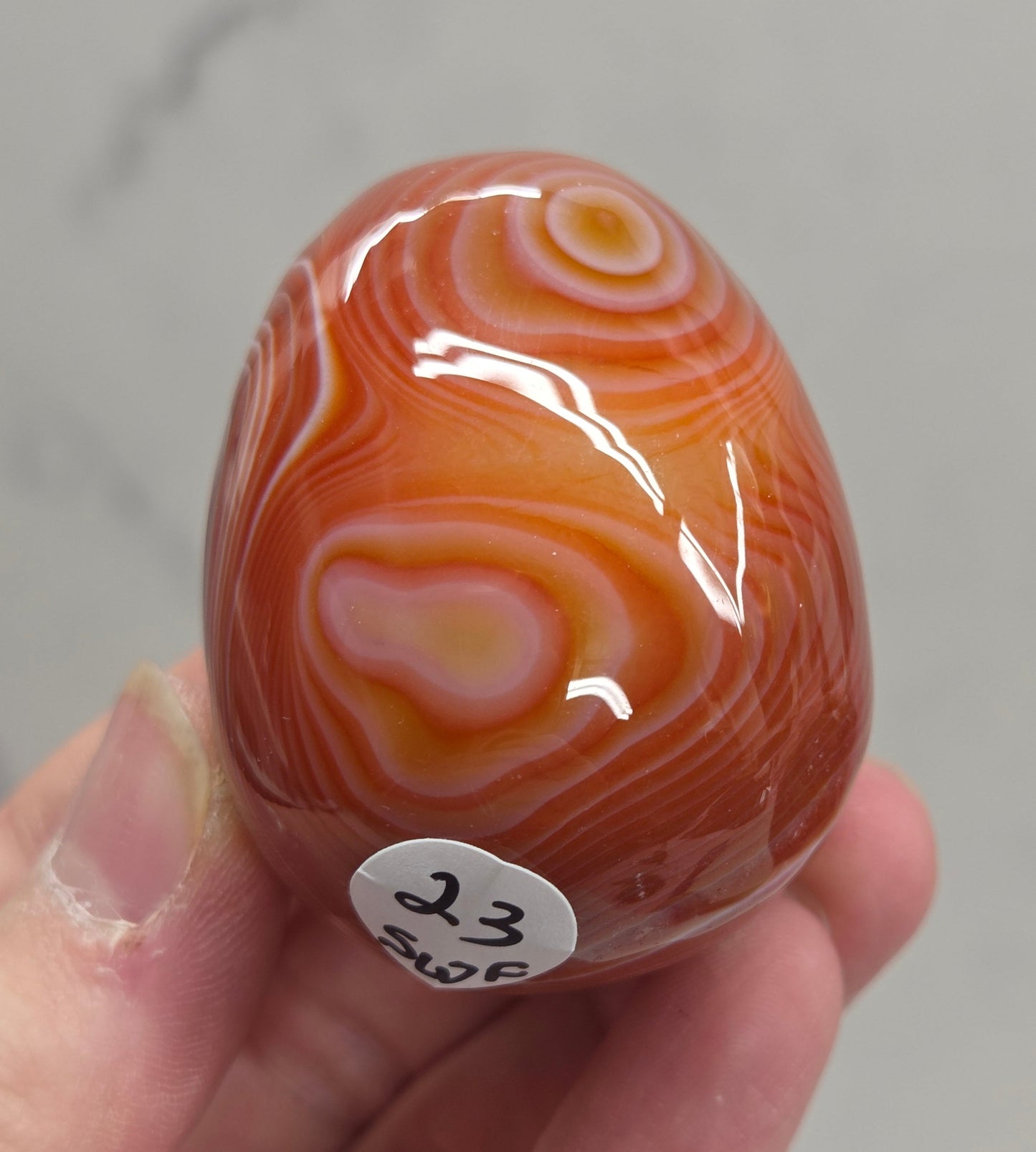 Marbled red and white Carnelian egg carving
