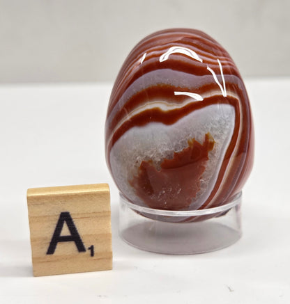Marbled red and white Carnelian egg carving