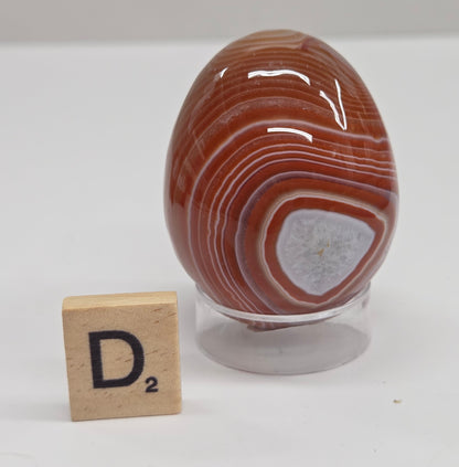 Marbled red and white Carnelian egg carving