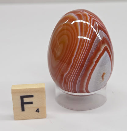 Marbled red and white Carnelian egg carving