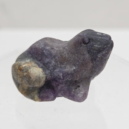 Fluorite Root frog carving on a white background