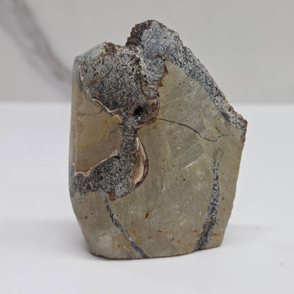 Fragment of a rock or mineral on a white background