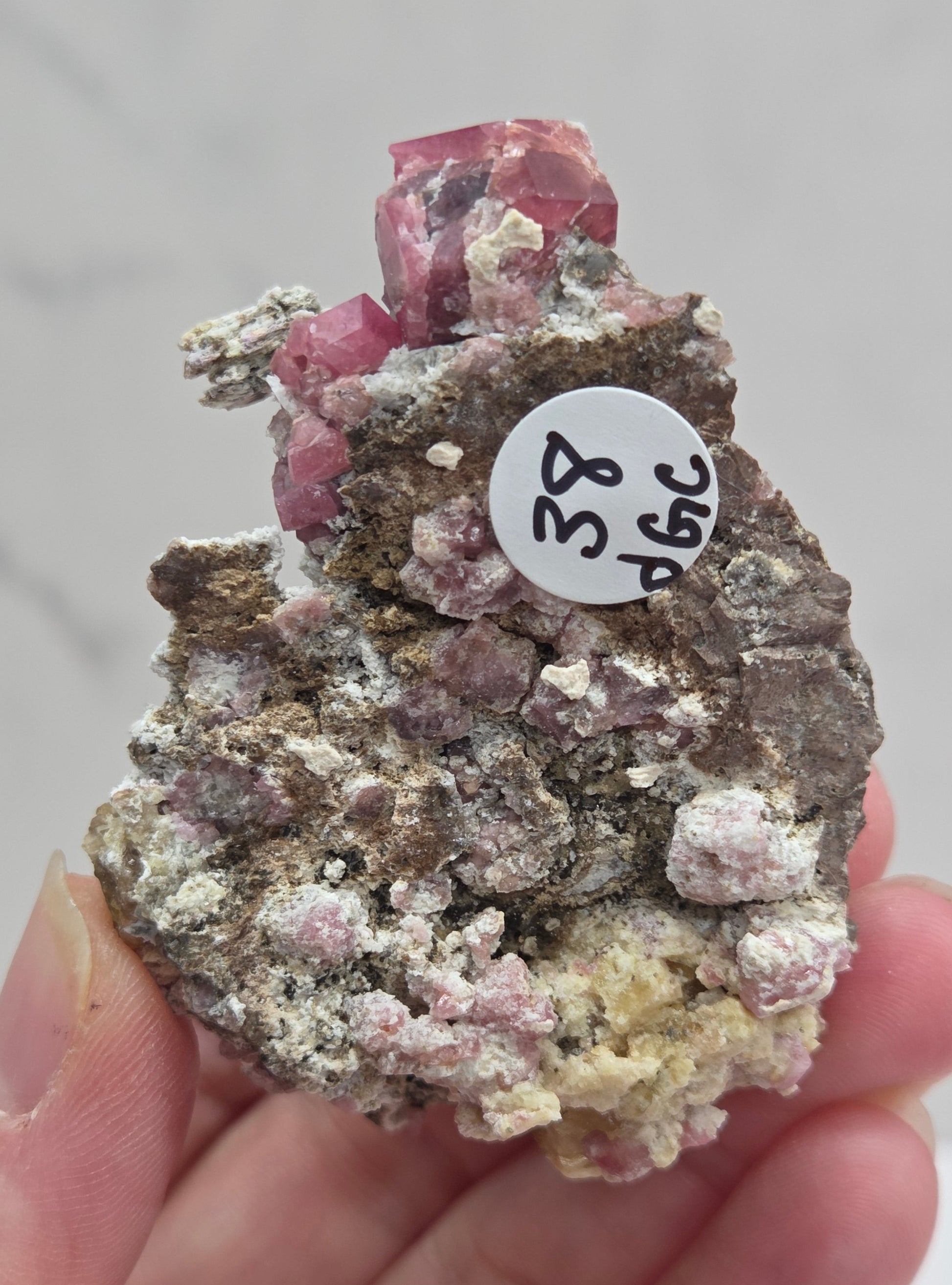 Mineral sample of Pink Garnet on white matrix