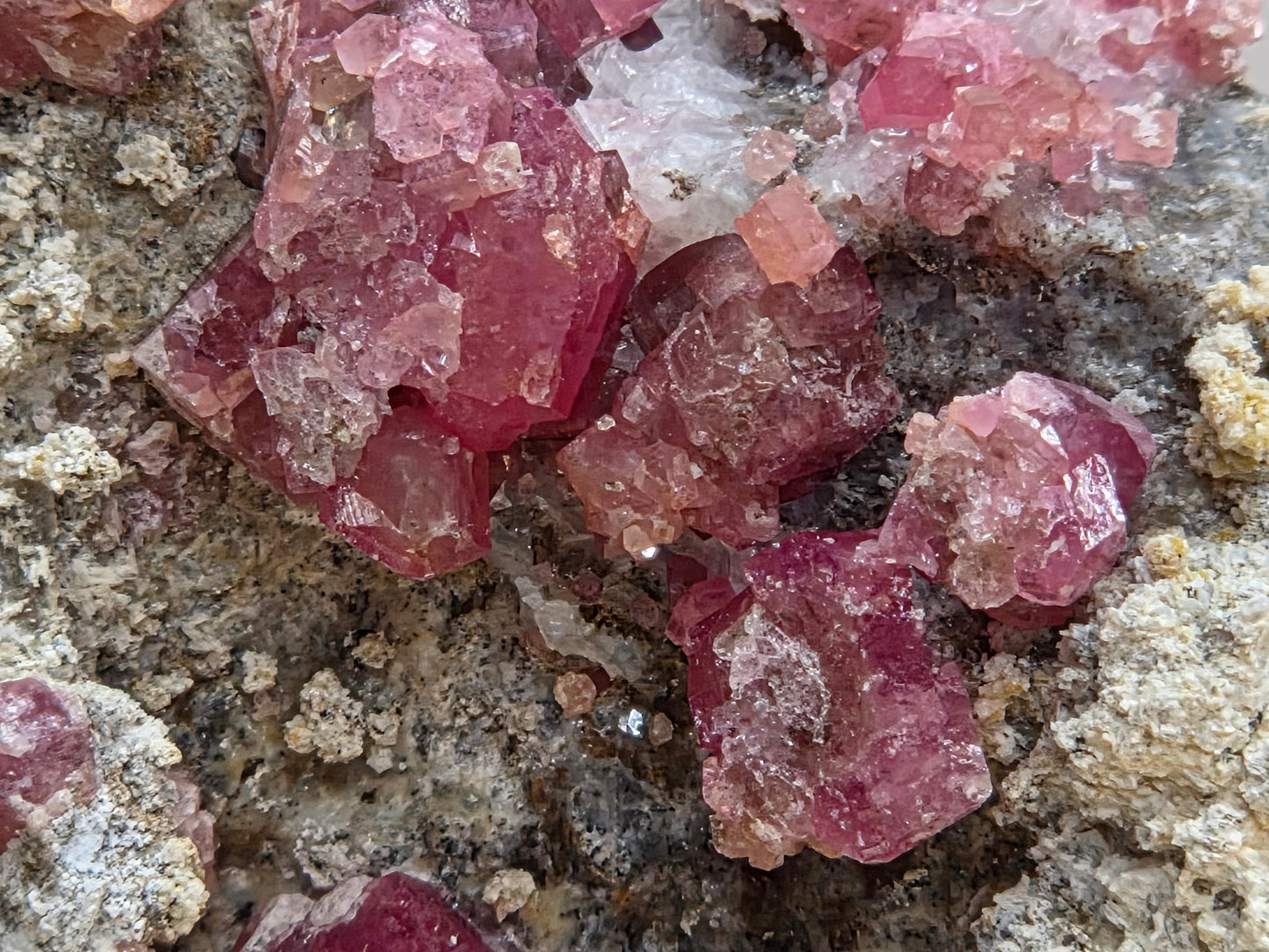 Close-up of pink crystal formations on a textured surface