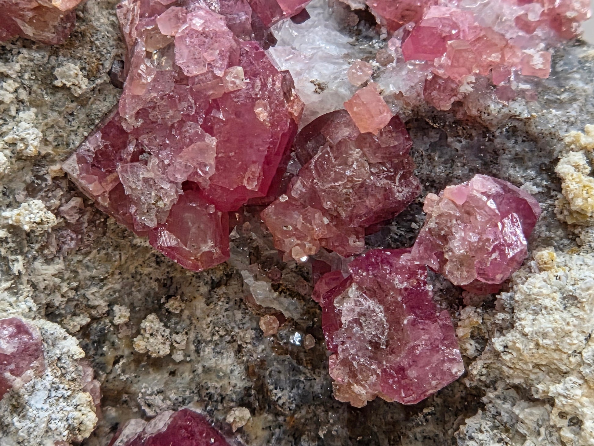 Close-up of pink crystal formations on a textured surface