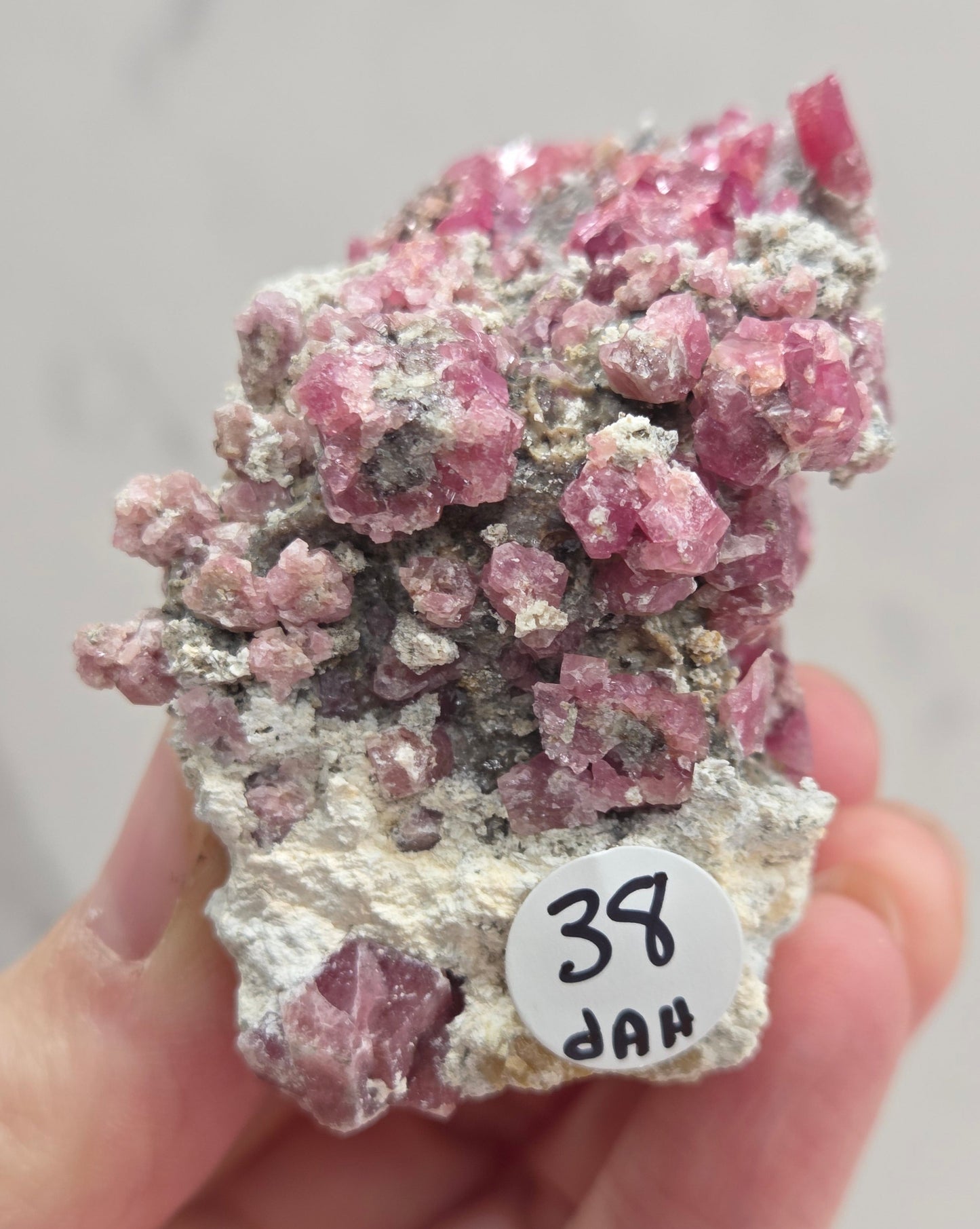 Mineral sample of Pink Garnet on white matrix