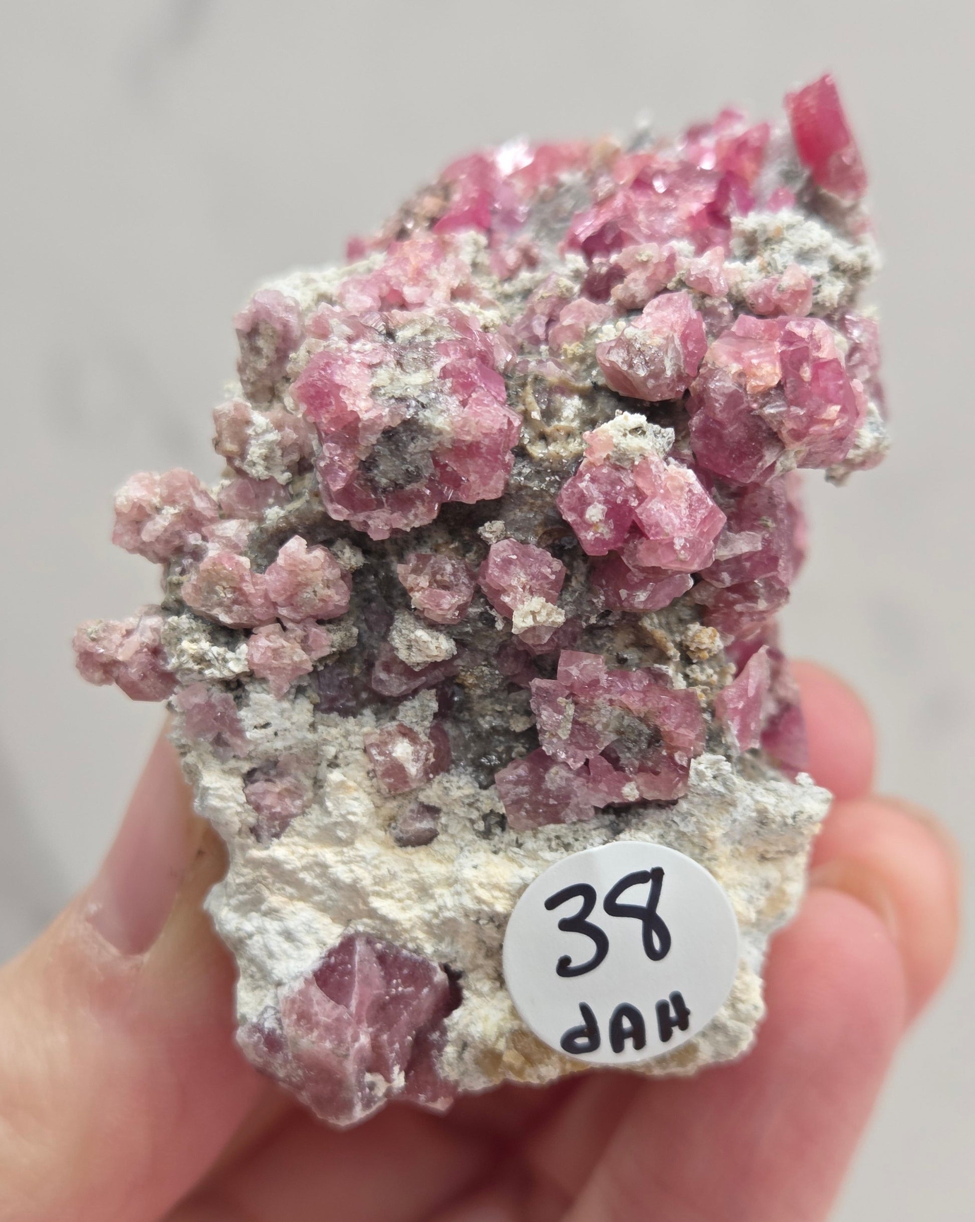 Mineral sample of Pink Garnet on white matrix