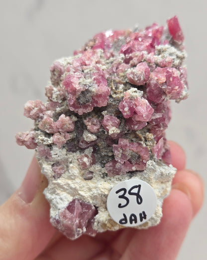 Mineral sample of Pink Garnet on white matrix