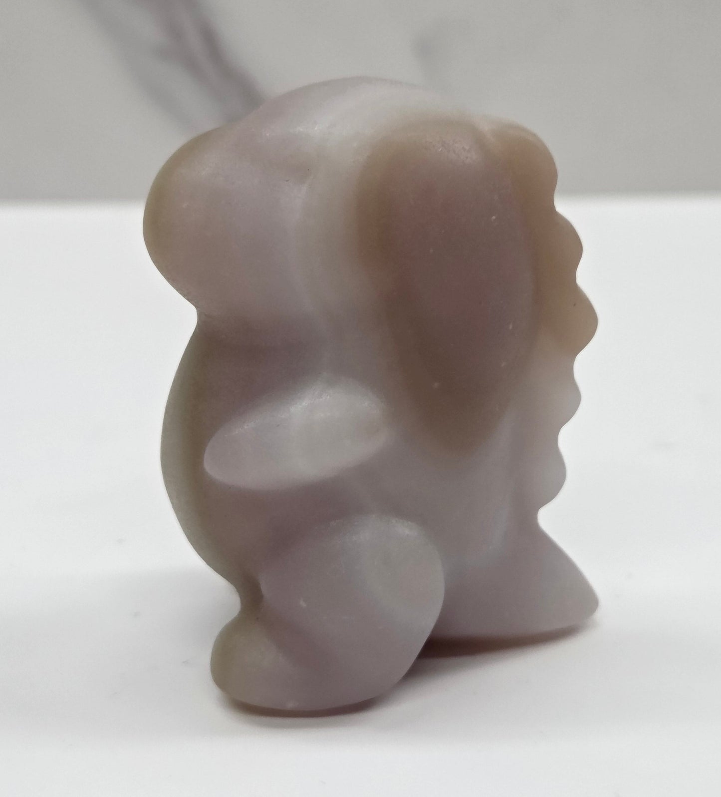 Chubby belly dinosaur (medium)