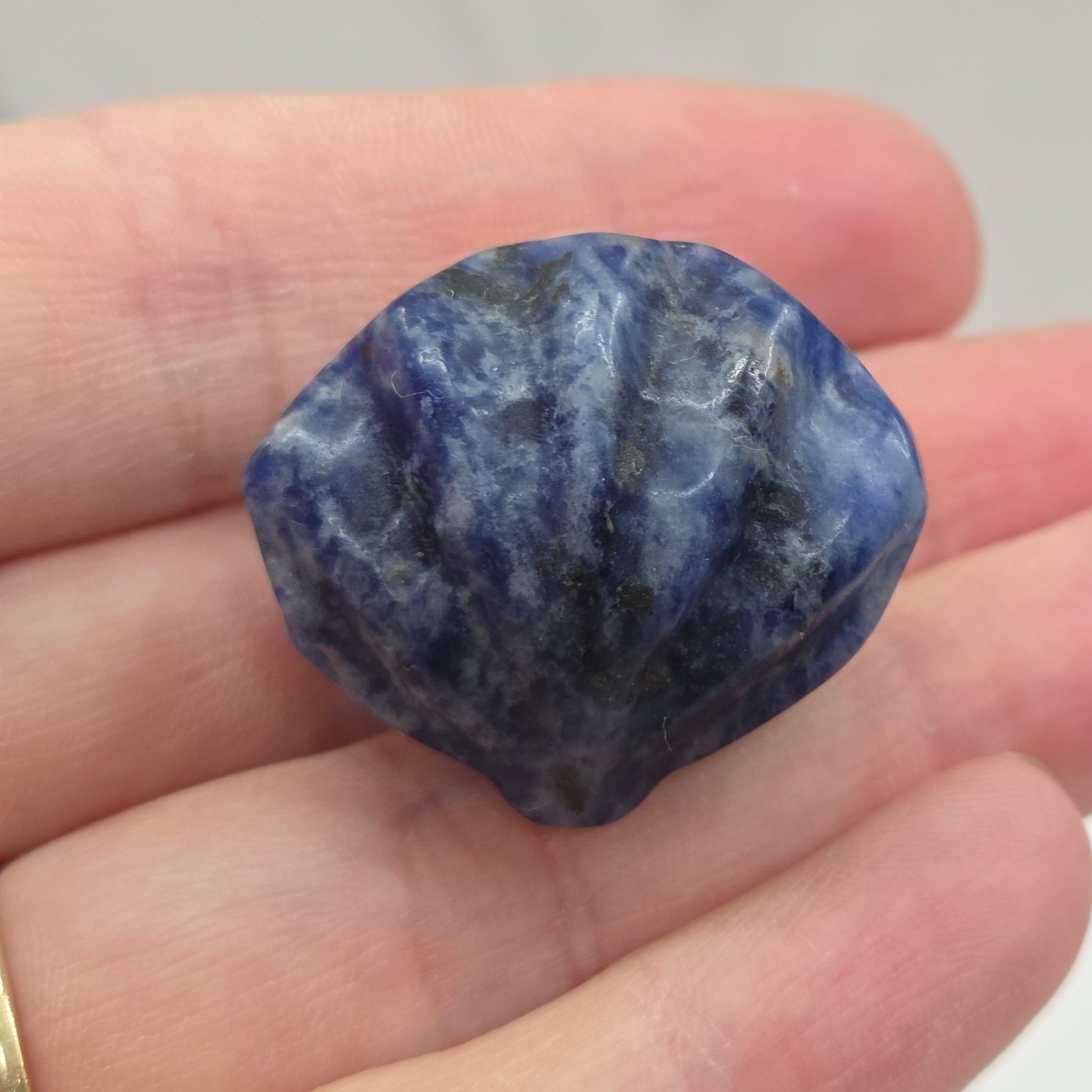 Blue Sodalite crystal clam carving with black and white 