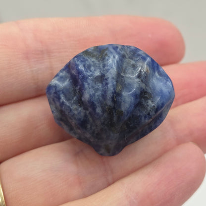 Blue Sodalite crystal clam carving with black and white 